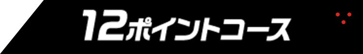 12ポイントコース