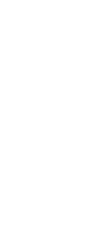 お月見するなら緑のたぬき